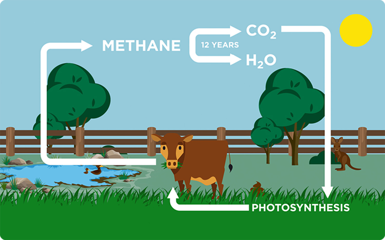 The Biogenic Carbon Cycle Explained