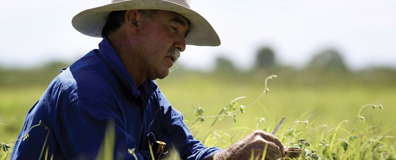 CHẾ BIẾN THỊT & AN TOÀN THỰC PHẨM